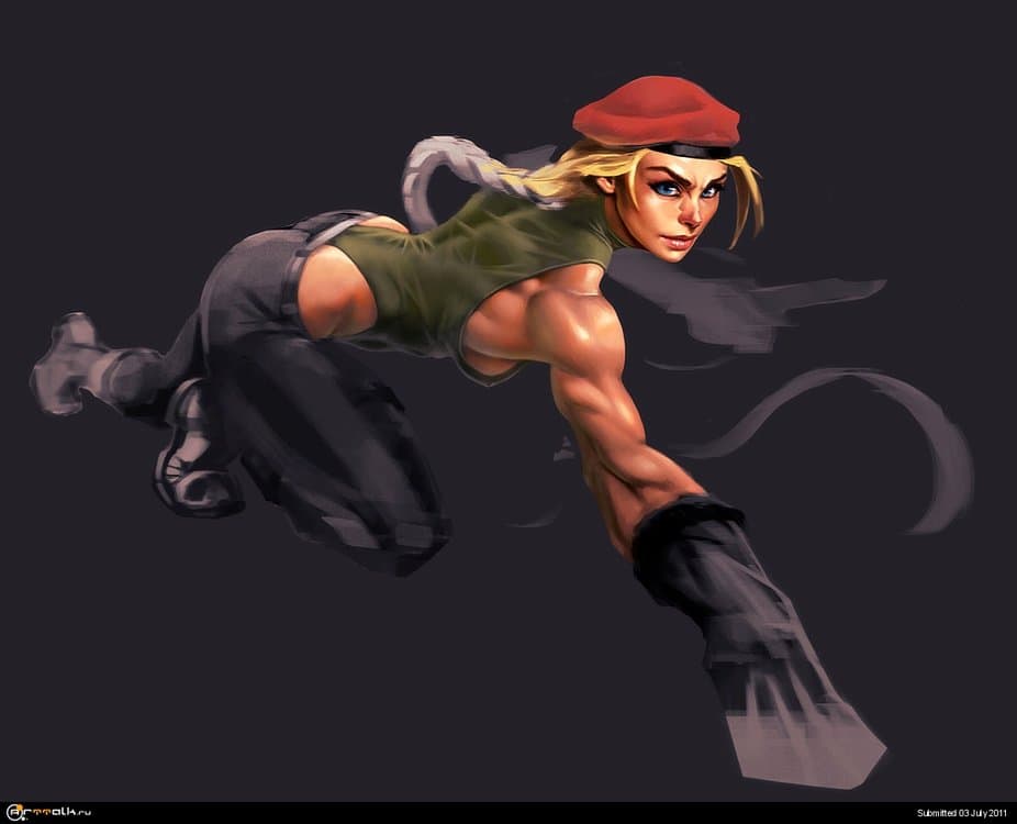 Cammy_wip4.thumb.JPG.5c55536252af8cede867ab87c5aa4fb8.JPG