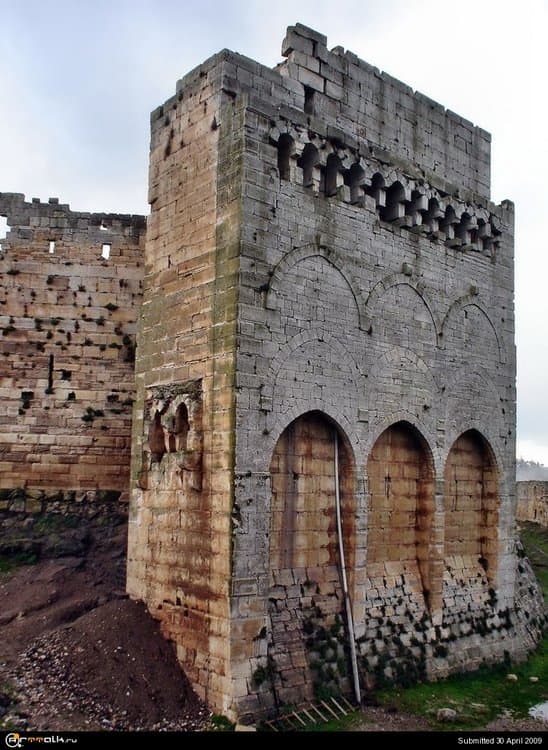 Chevaliers_101.thumb.JPG.dd4b39d483385afa68e0e3d53a1f474a.JPG