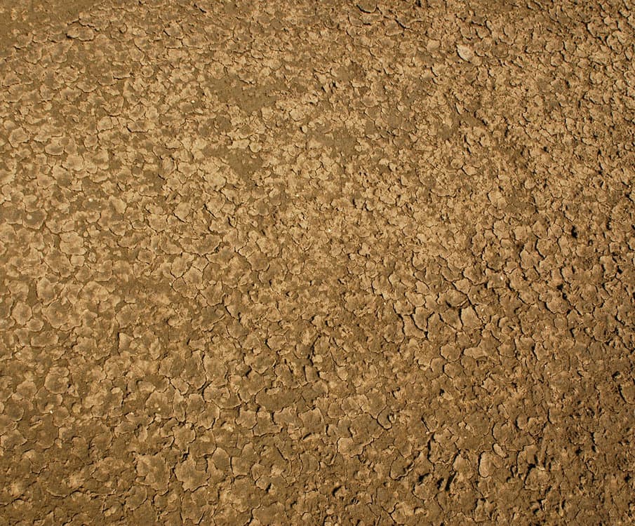 CrackedEarth0020_L.thumb.jpg.8328ef7e9d1d2893e86efb6702ec5c3a.jpg