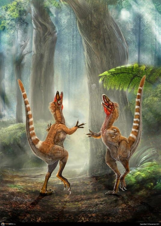 Dino_Sinosauropteryx_reconstruction_Chuang_Zhao_and_Lida_Xing_03.thumb.jpg.8742a44ee2b9cf82e671cd9a9ad2468f.jpg