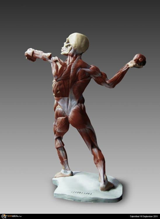 Ecorche_MaleAnatomy_colour02.thumb.jpg.be8f66e0002fd3d1d51671894bdd5319.jpg