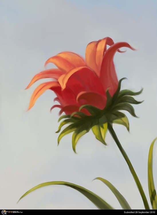 Flower.thumb.jpg.41be6aad03caddfc32a3732fc47d09a1.jpg