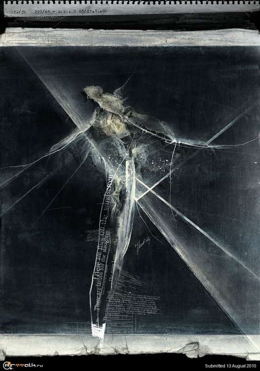 Fly_on_the_windscreen_by_kubicki.thumb.jpg.02a16451bff5ffdc5a8dc0a584970914.jpg