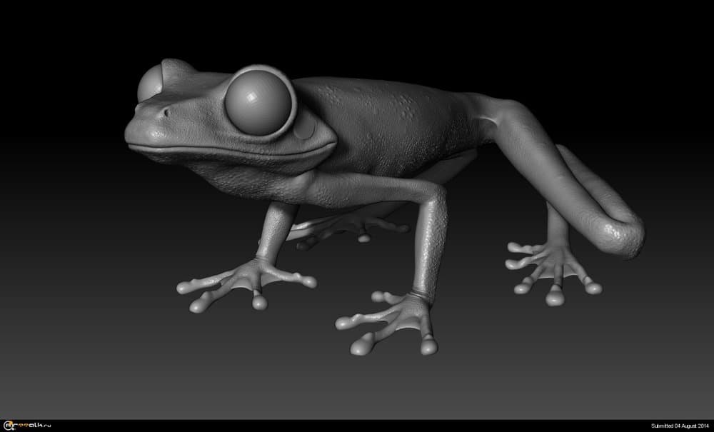 Frog2.thumb.jpg.11a1aa8a8e2f97f9cf65d0e91ce85b40.jpg