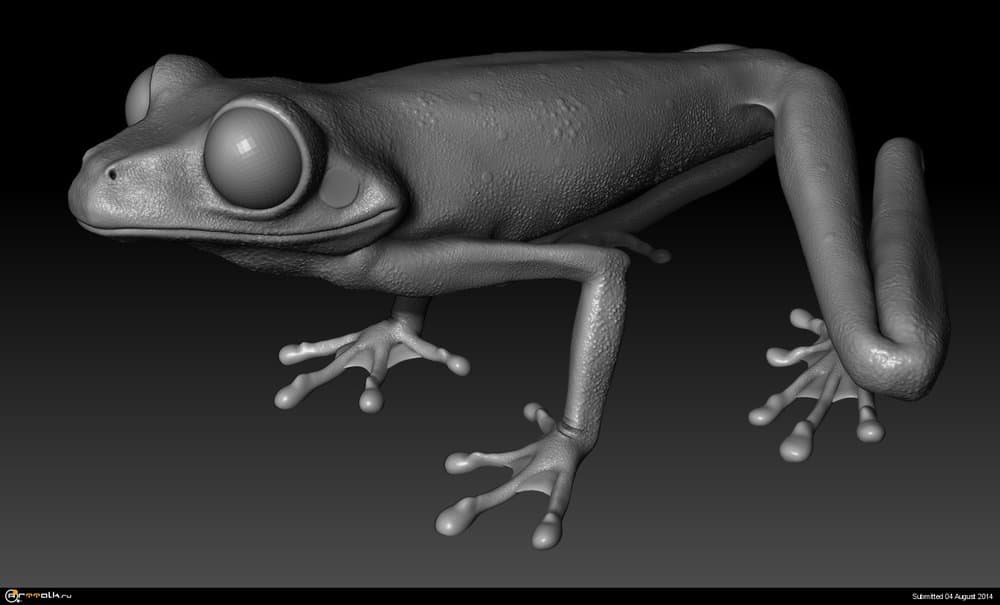 Frog3.thumb.jpg.62d5476912a5dcb51610f2bc80a0e058.jpg