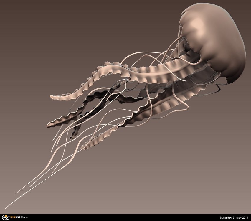 JellyFish_sculpt.thumb.jpg.95e592e387940f6ca8288b9f73a475cc.jpg