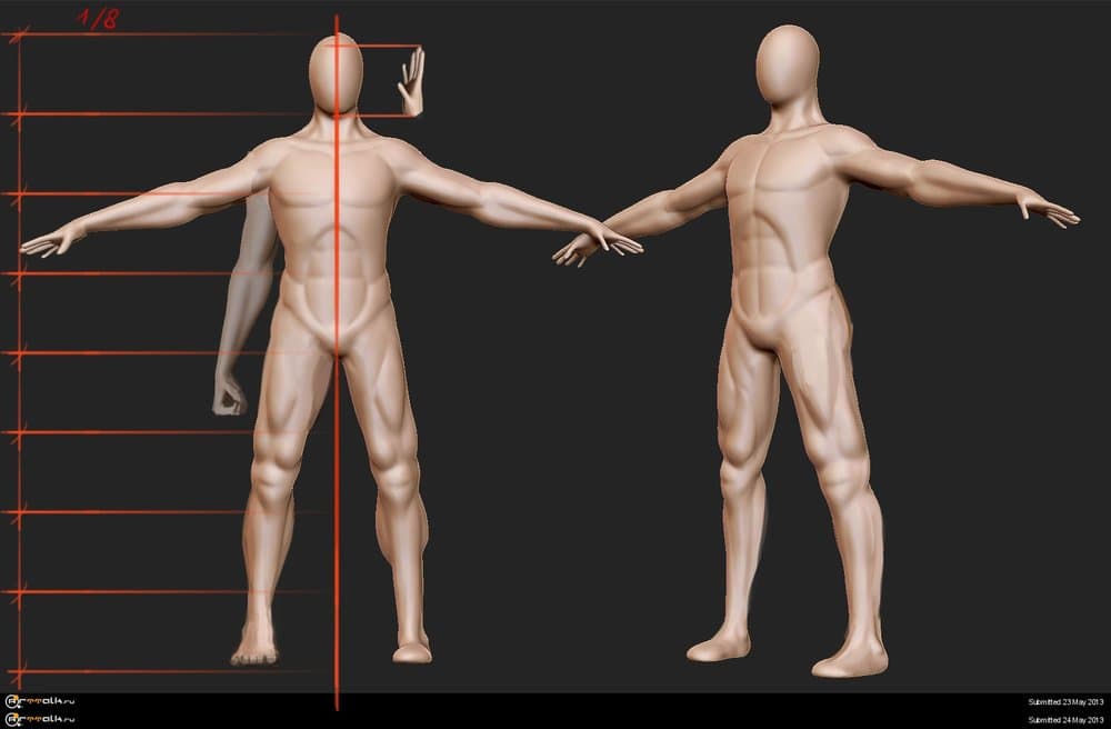 ManAnatomy.thumb.jpg.cf46a39779035f3349740735cc868a33.jpg