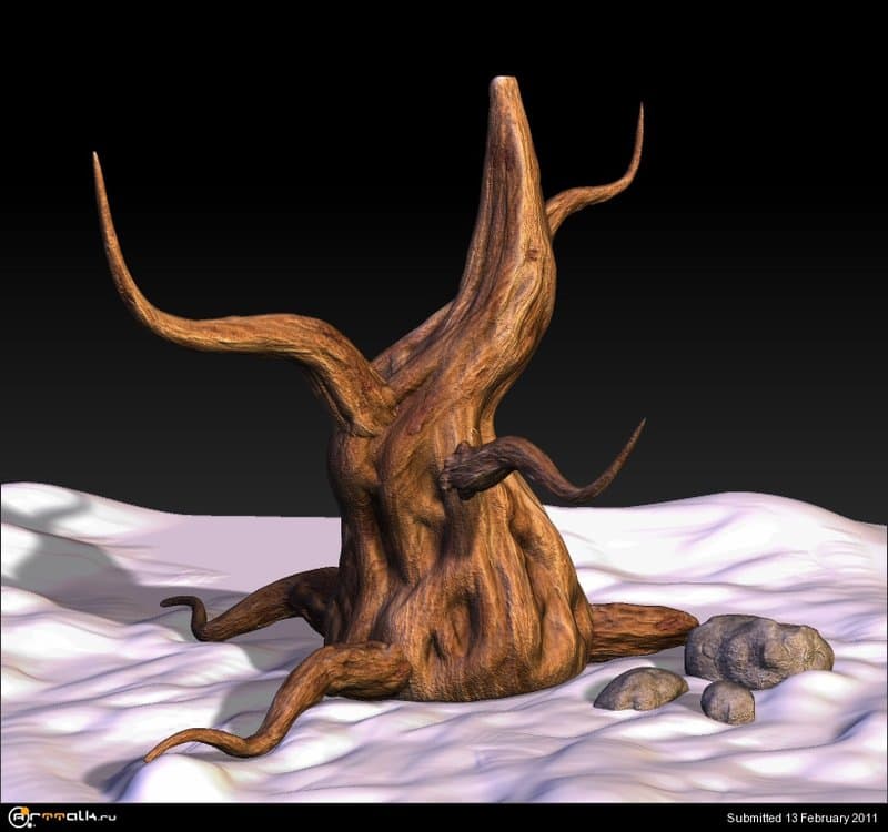 My_Tree.thumb.jpg.f28a3e6c835cd2e53e6bc99a77c50563.jpg