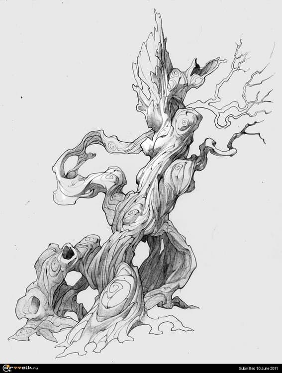 Old_Tree.thumb.jpg.cde540c1031efe7f667f4347173f3104.jpg