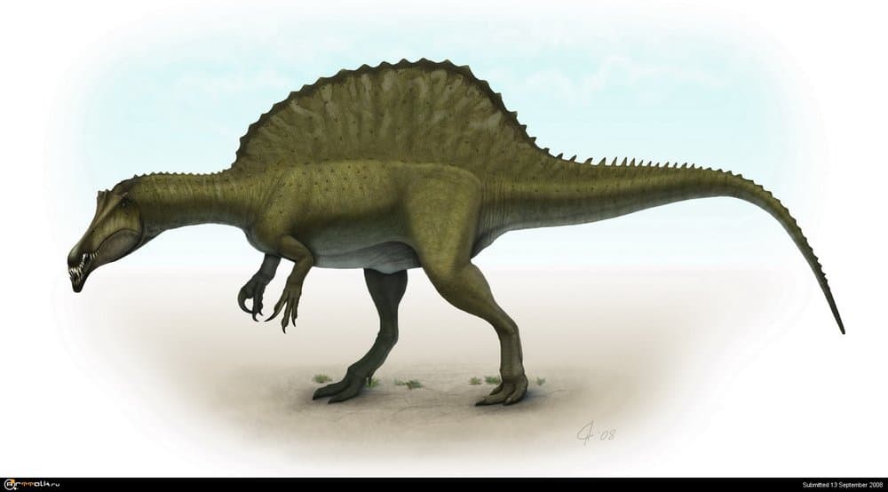 SpinosaurusBackgroundlow2.thumb.jpg.e6ca0655aa6d06ae63b2a29f9fe13def.jpg