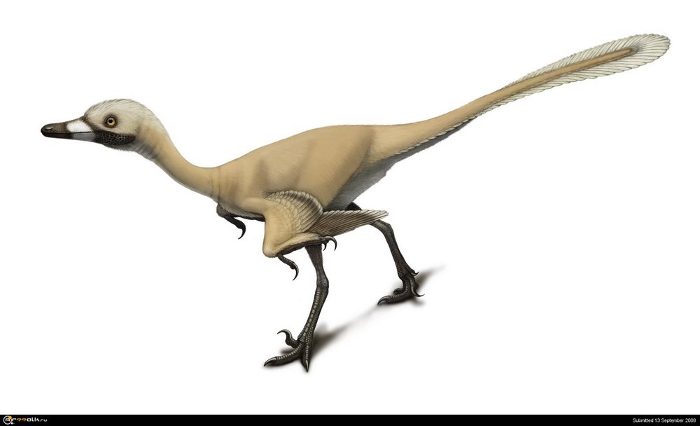 Urbacodon5.thumb.jpg.69464127a0f12bef570898019ff0b9fe.jpg