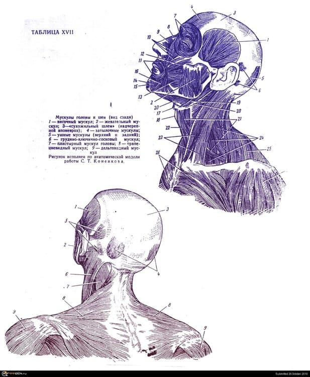_01.thumb.jpg.45ab96b28b378d2badfc7ff2e1a2359c.jpg