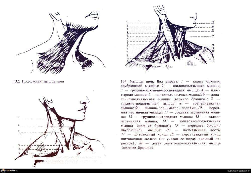 _02.thumb.jpg.1b7233d9ec67ed56b9575a4ab6d78560.jpg
