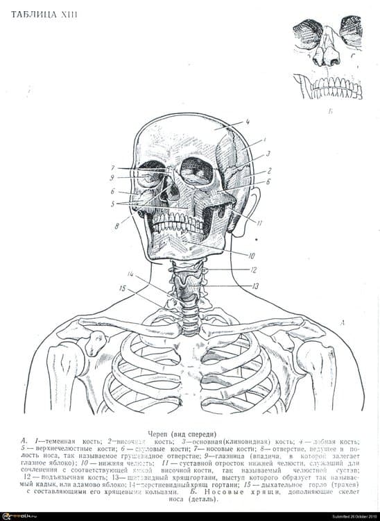 _03.thumb.jpg.6df3d544bfbfc2bacf4ab72e0b12ccf5.jpg
