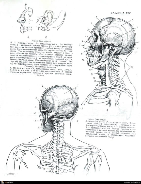 _05.thumb.jpg.ac78c8f68dcd4f5efbec73d0e303b33f.jpg