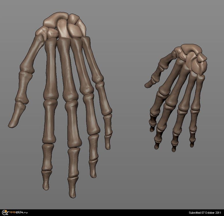 arm.thumb.jpg.d432fce930c1b485d4be264d21eecc98.jpg