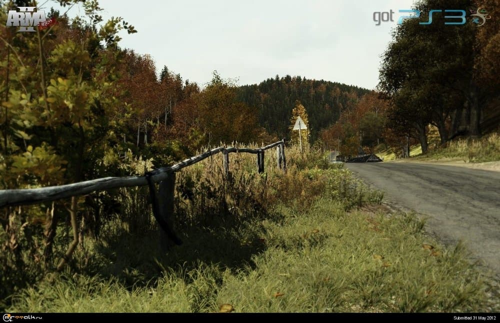 arma_2_281202050.thumb.jpg.f3eb6aca9999a451d8c3bb2d2cec1ed2.jpg