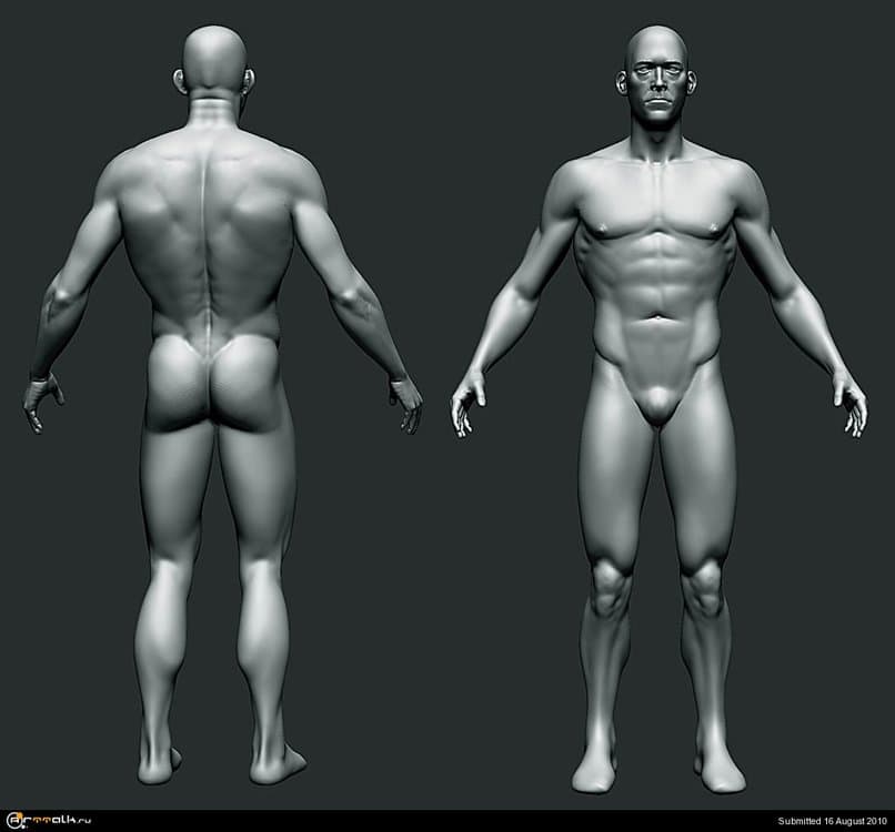 body2.thumb.jpg.28999d373e025d95bcbe3137578e2fb0.jpg