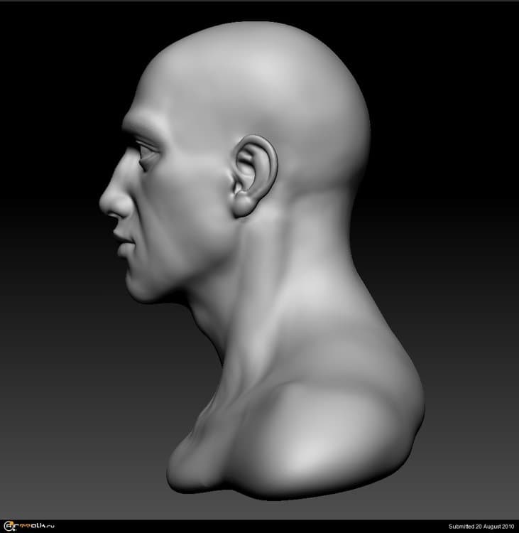 bust_side.thumb.JPG.3d6f32208d280657dc6073d758b88dc1.JPG