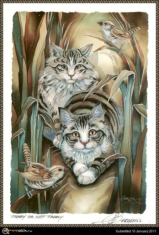 cr_JodyBergsma-TabbyOrNotTabby.thumb.jpg.e05df236b69c024bedc41d60a6449c46.jpg