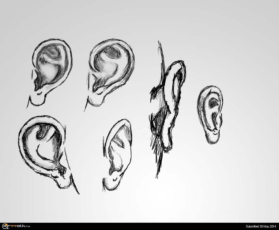 ears.thumb.jpg.90bf72e7348a1561b78b34db9cb9d176.jpg