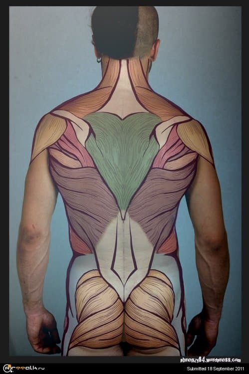 ecorche_01.thumb.jpg.c4eae1ccdfa4b93ea2bd31b021ca43b0.jpg
