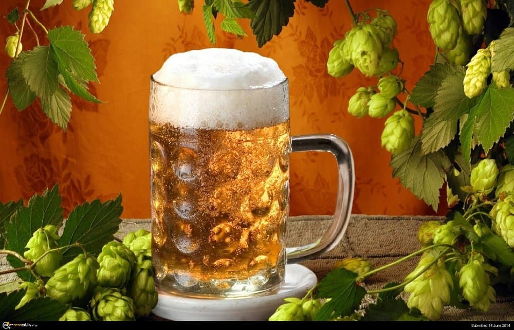 glass-of-beer-wallpaper.thumb.jpg.9a523781e6b3d478131a5362680e9946.jpg