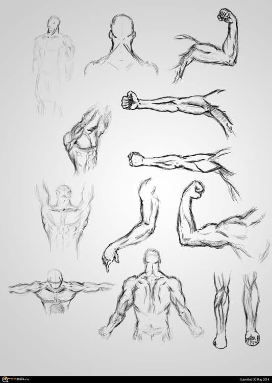 hands_01.thumb.jpg.beb407458ffeafa73f0d3ee2fe9e6ba8.jpg