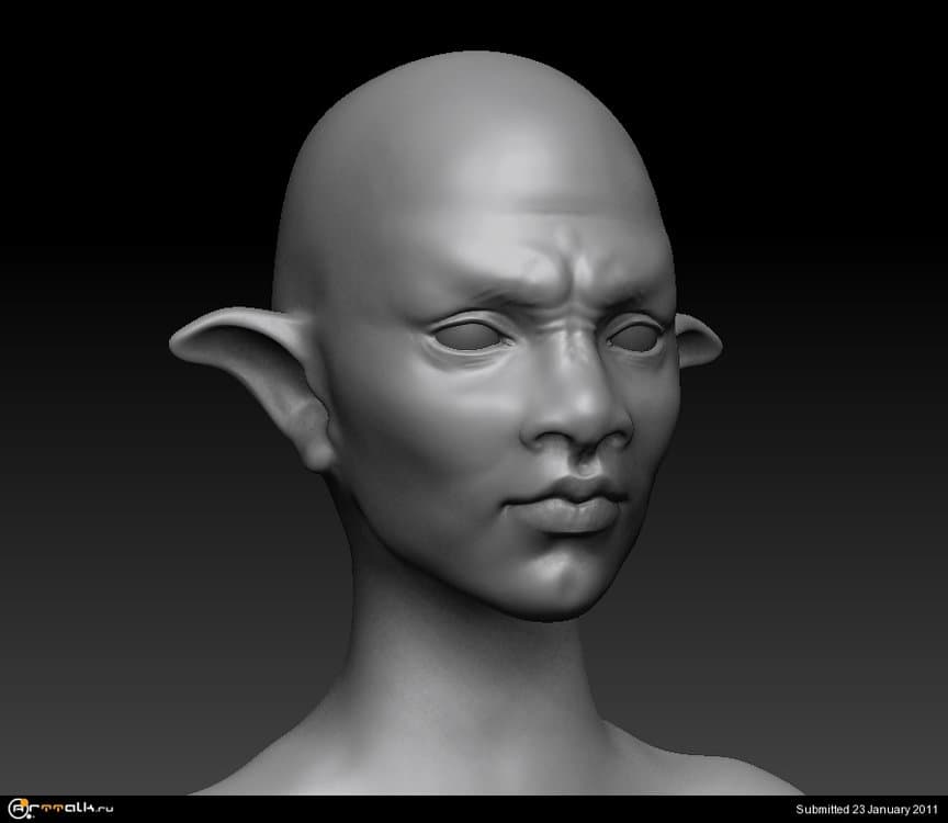 head.thumb.jpg.2832a8d275c99425e03ea5b153116347.jpg