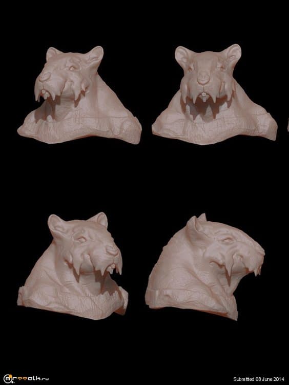 heads2.thumb.jpg.f72b1c7c272a5259fa2a081a0b539b6e.jpg