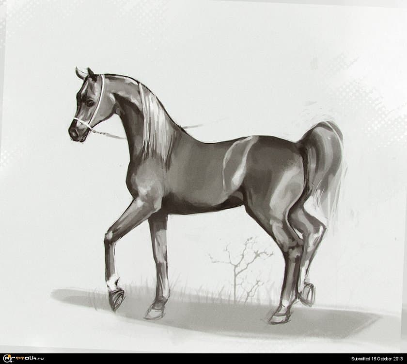 horse2.thumb.jpg.9ce236443e1e7260c9d85e5ec47a9c8f.jpg
