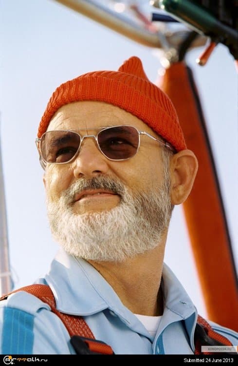 kinopoisk.ru-The-Life-Aquatic-with-Steve-Zissou-2179955.thumb.jpg.362c094bf00485e1bad5e1942d6cee07.jpg