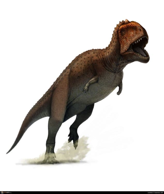 majungasaurus.thumb.jpg.483f44b8863e68e60487587f17b70c25.jpg