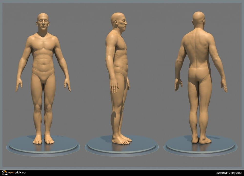 man_anatomy_3dartist_1280pi.thumb.jpg.0e42011825404704a7609337ae07e264.jpg