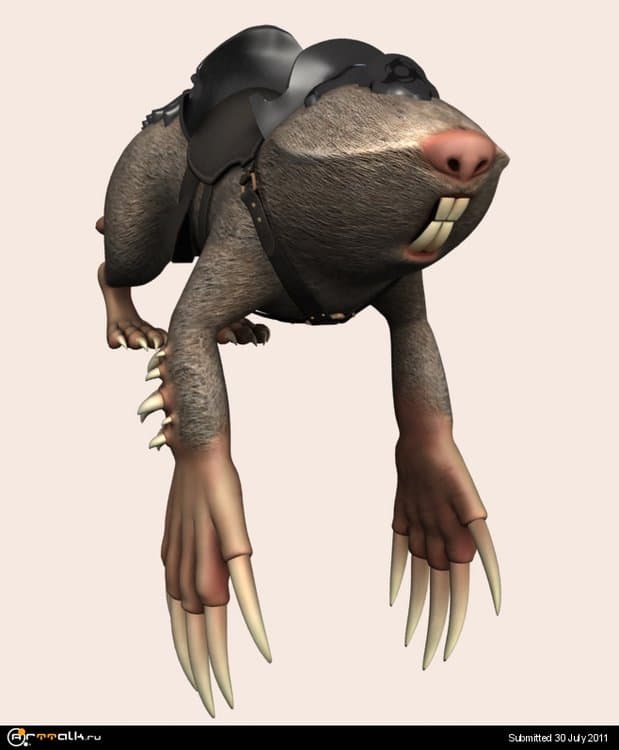 mole_6.thumb.jpg.626f5f701f273c704a557fd534335fd7.jpg