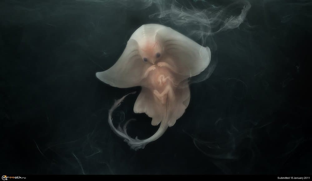 nascent_potential_by_GunnerRomantic.thumb.jpg.bc0517839f6fe4bc7e352c19cf8eb693.jpg