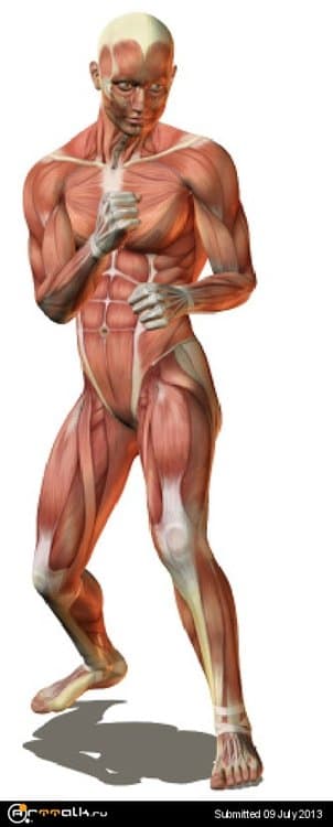 nogi.thumb.jpg.68617095484d73489abdaa689e403bee.jpg