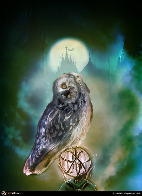 owl_final.thumb.jpg.02cbce32dafdb77cc4a41dd4c8d3513f.jpg