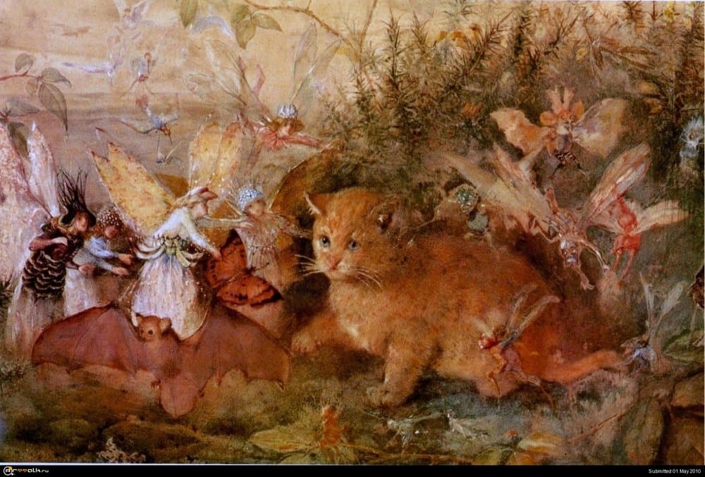 rw_cat_among_the_fairies_jpg.thumb.jpg.22ad41b67fbd43380a4492ad52604eb5.jpg