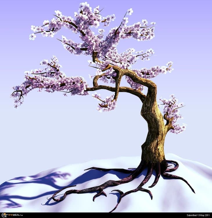 sakura_derevo.thumb.jpg.c9e79c30ff88b370dd9e28c7072f34cb.jpg