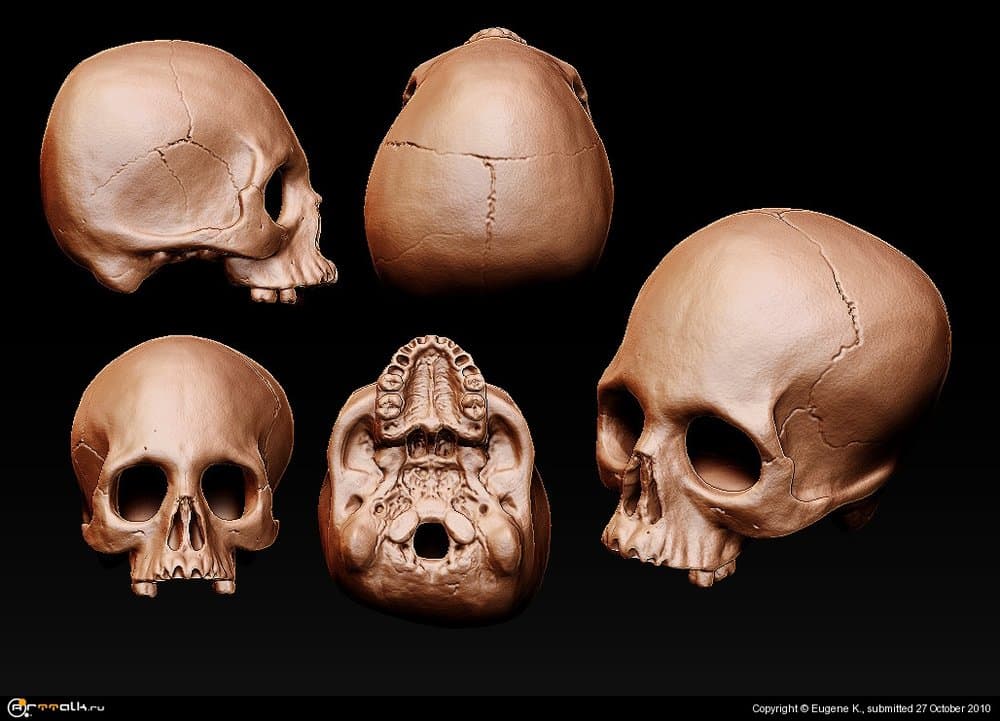 skull-screenshoot.thumb.jpg.8d6c8d7e23a37f20696d1d615f0c2d0c.jpg
