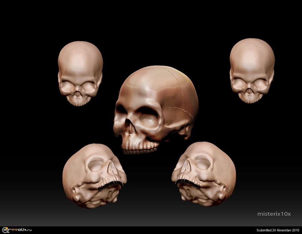 skull.thumb.jpg.a05b8220c9fd4a4b576ae628d5e3f390.jpg