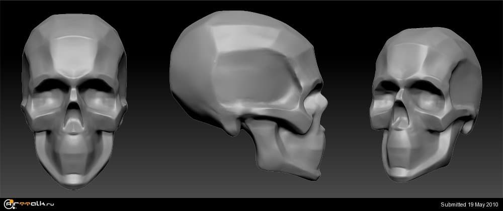 skull_construction.thumb.jpg.5f61815c435dc8563bd234b652dbb766.jpg