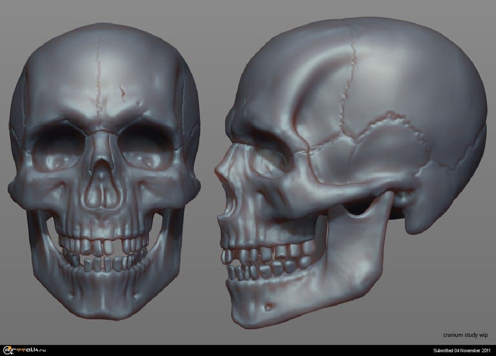 skullstudywip.thumb.jpg.800ffc6e203fa396d37c071b458e7dd5.jpg