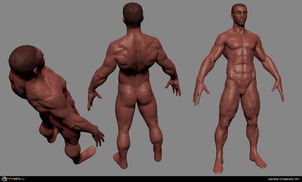 study2.thumb.jpg.7cfe088dad7adf6bb7fe828627794fec.jpg