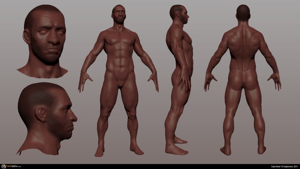 study3.thumb.jpg.f795953386071cd10f8a5988cb606efd.jpg