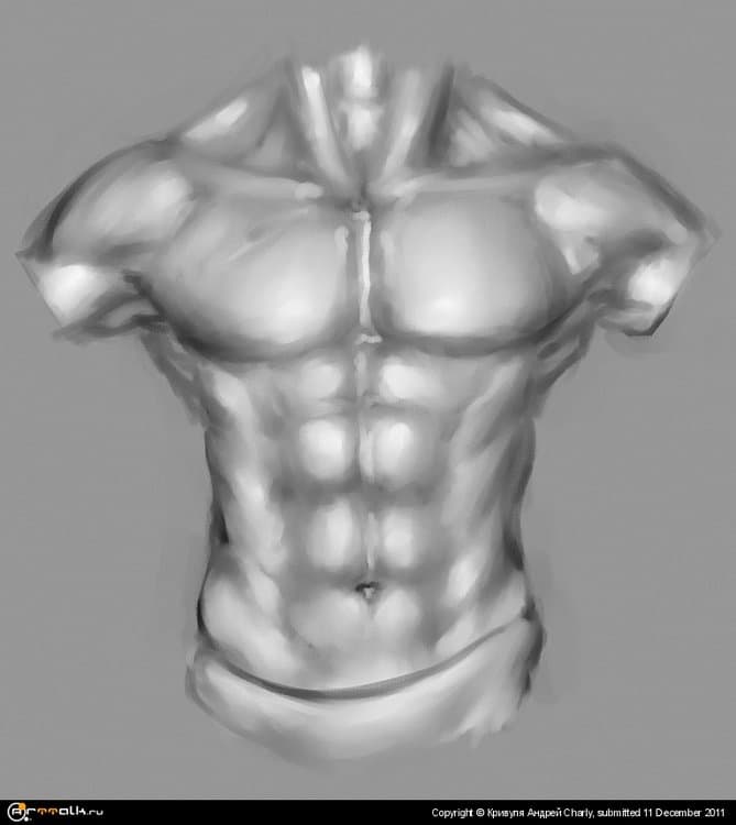torso.thumb.jpg.f62c09e5f3d8bbb559eb4c7b92963bcb.jpg
