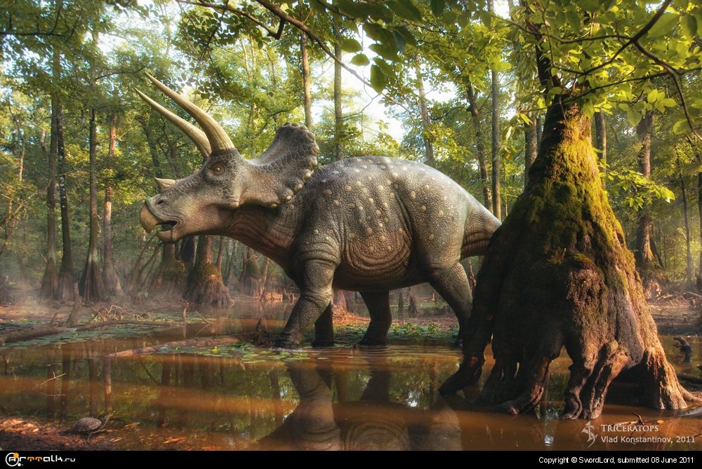 Triceratops In The Forest