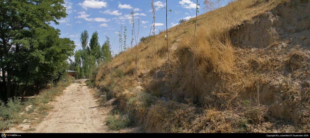 Желтая дорога.