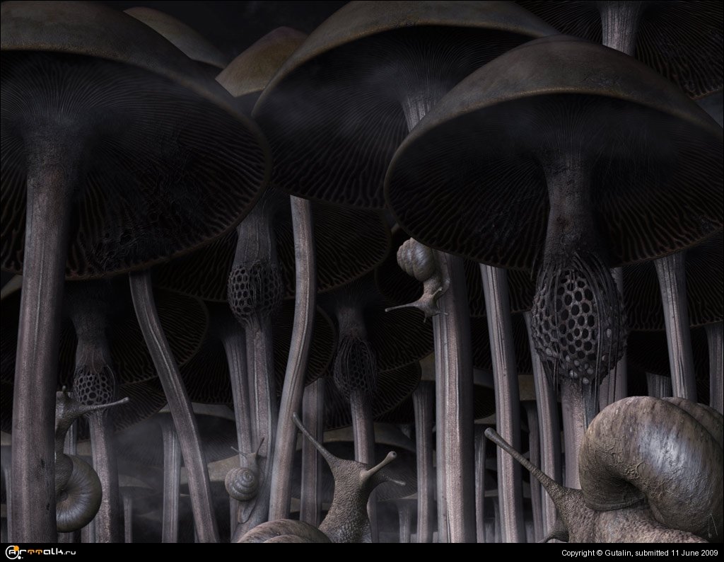 Улитки у подножья Фудзи